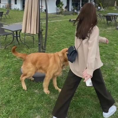 科技不进化论